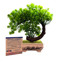 Ralph Macchio “Karate Kid” Hand Signed Plastic Bonsai Tree w/COA PSA