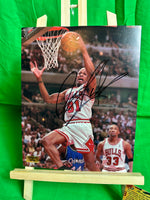 Dennis Rodman Signed Chicago Bulls 8.5x11 Photo w/COA